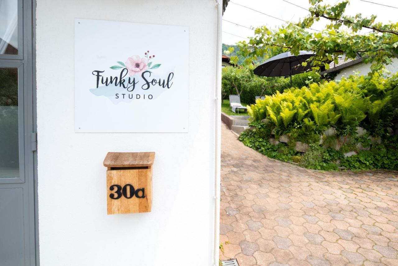 Funky Soul Studio Zirovnica ภายนอก รูปภาพ